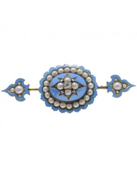 Spear and Shield Brooch